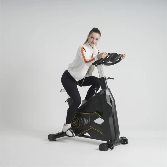 Neues Indoor-Übungs-Spin-Bike, stationäres Fahrrad, Cardio-Fitness, Radfahren, magnetische Heimtrainer