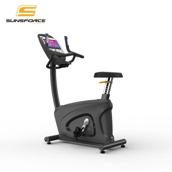 Großhandel Indoor Body Fit Bike Kommerzielle Magnetische Healthware Professionelle Gym Spin/Spinning/Heimtrainer Preis für Fitness/Upright/Riesen/Liegerad